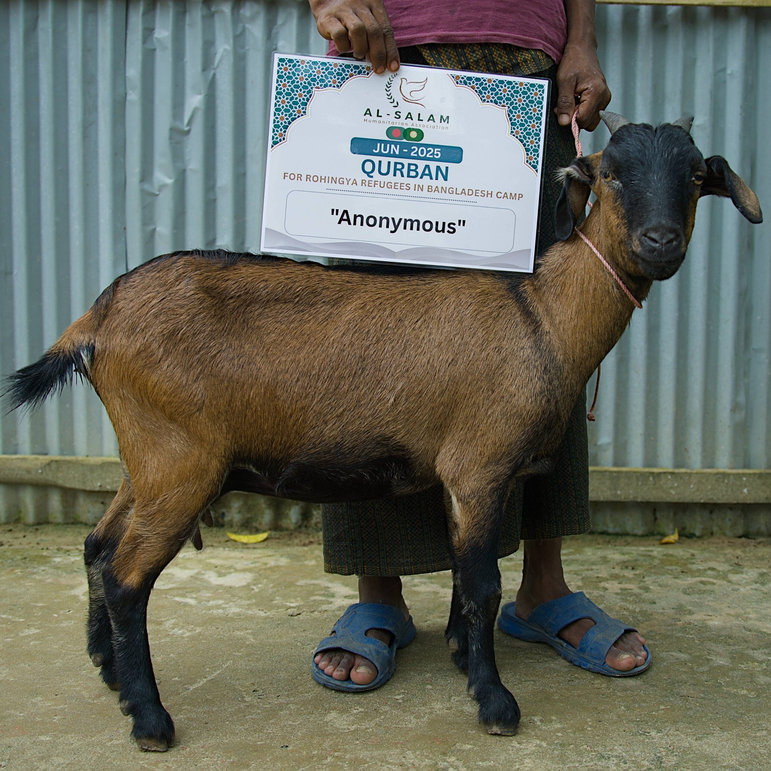 Animal scrifice pic 01 (1)